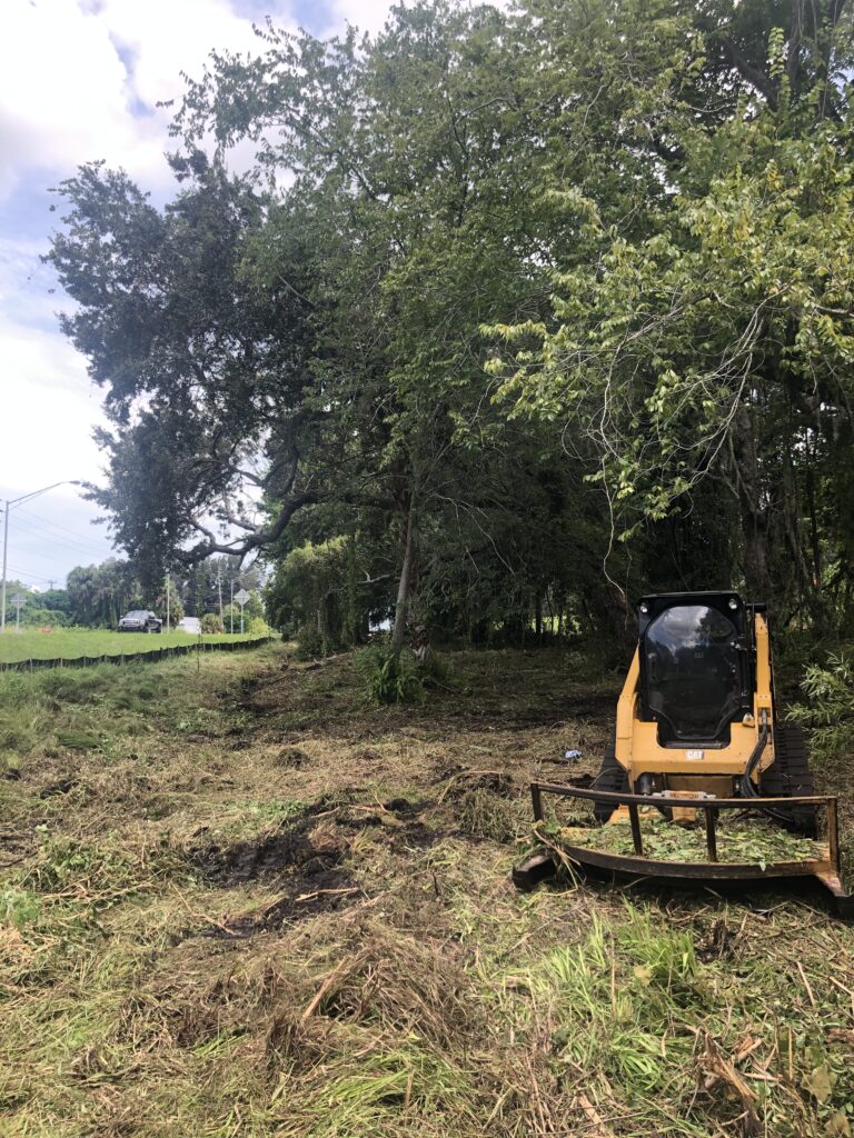 Land Clearing North Port
