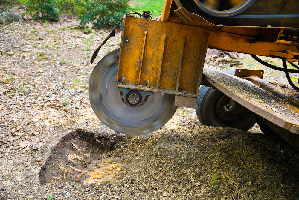 North Port FL Stump Grinding