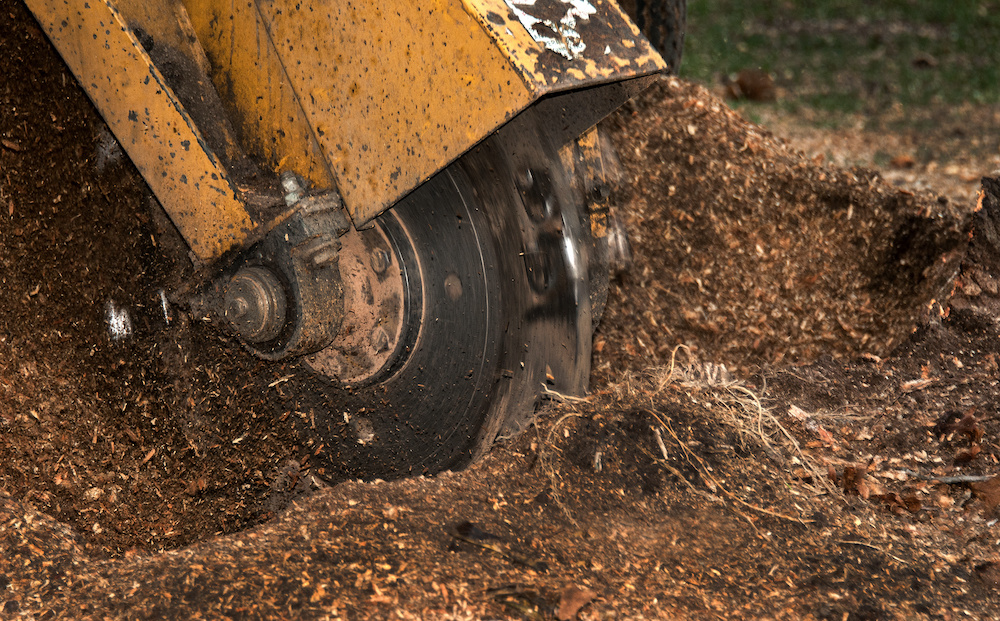 Stump Grinding North Port FL