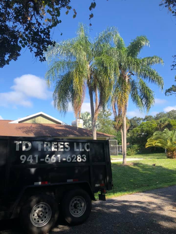 Port Charlotte tree trimming near me