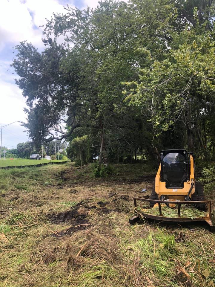 land clearing Port Charlotte FL