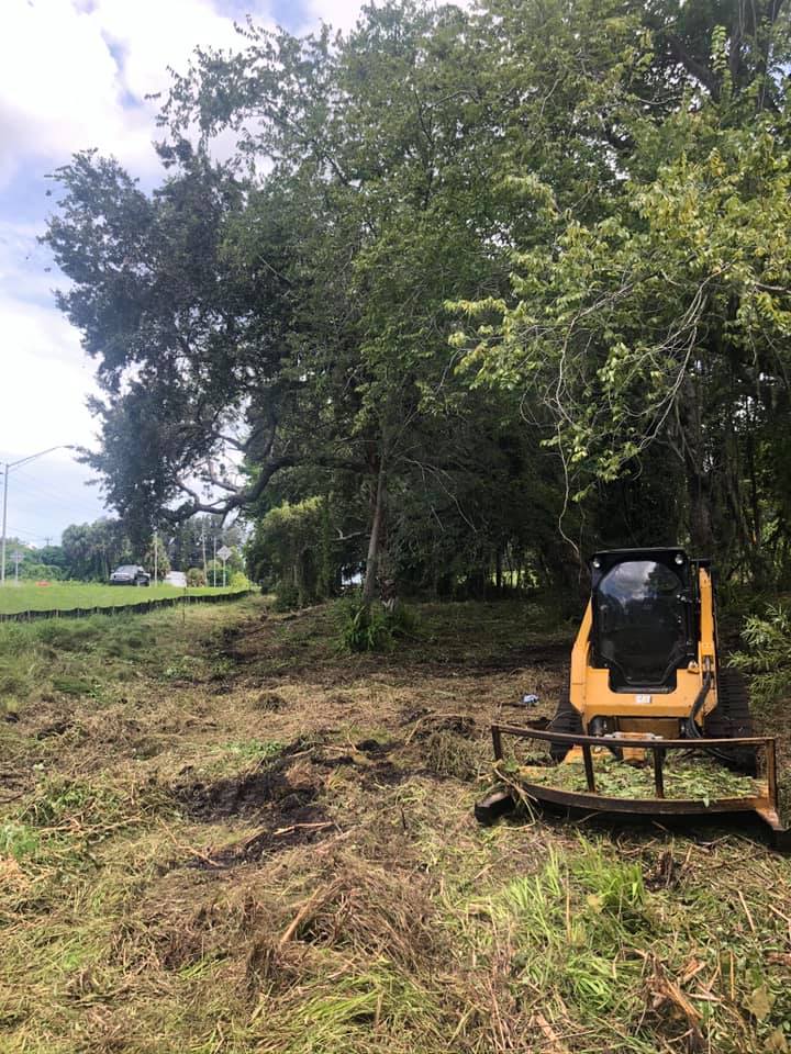 land clearing Venice FL