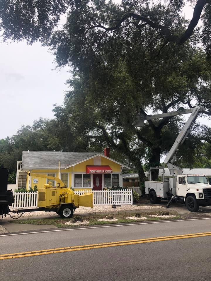 tree cutting service Port Charlotte FL