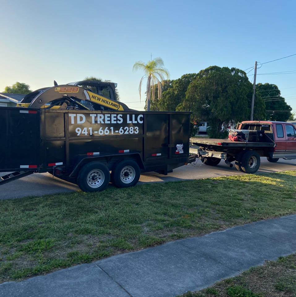 tree removal Venice FL