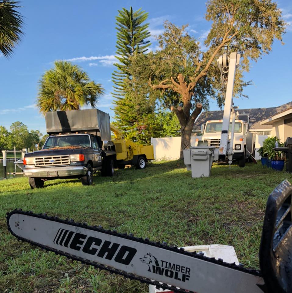 tree trimming Port Charlotte FL