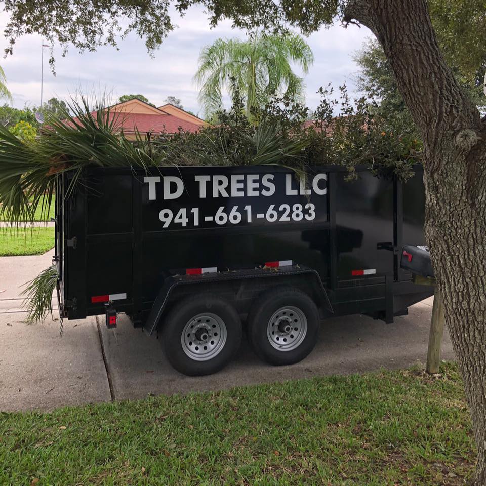 Englewood land clearing near me