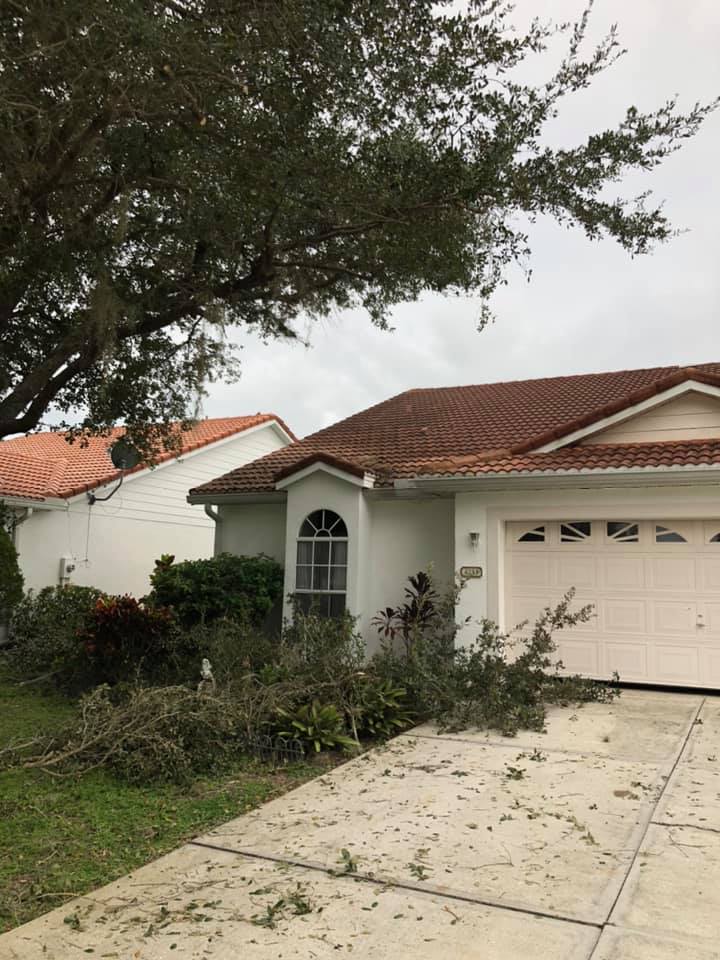 tree removal Nokomis FL